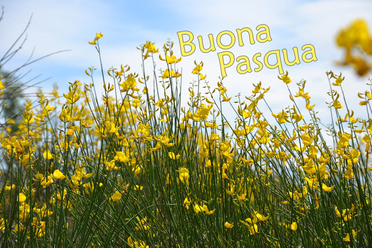 buona pasqua 2016