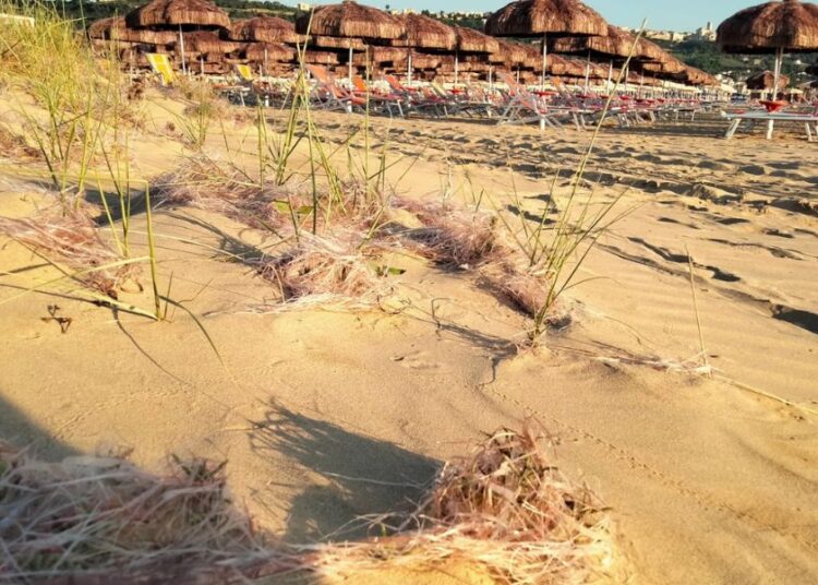 spiaggia vasto marina