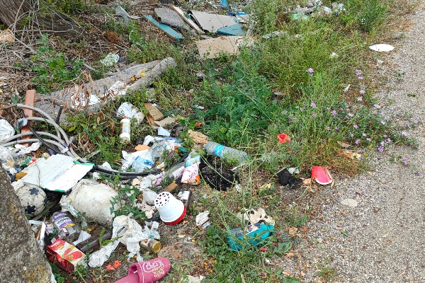 Stazione Vasto-San salvo, "biglietto da visita in stato di degrado" - Gallery 3 spzzatura 6006