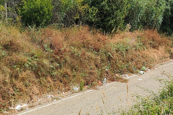 Stazione Vasto-San salvo, "biglietto da visita in stato di degrado" - Gallery 2 spzzatura6 1