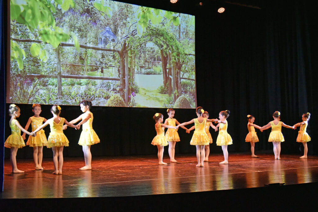 "Aforisma", magia ed emozioni danzano sul palco - Gallery 2 DSC 1293 1 R