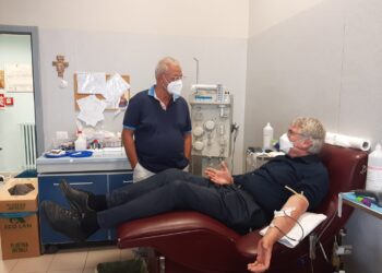 donazione sangue schael