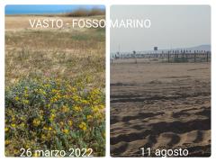 Jova Beach Party, a Fosso Marino va via il Ginestrino delle spiagge - Gallery 4 jbp prima e dopo 1