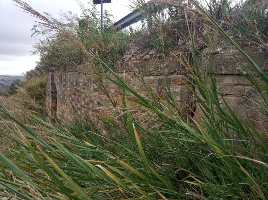 La strada provinciale di Contrada Marrucina a rischio frana, il sindaco Di Fabio lancia un appello a Menna - Gallery 8 WhatsApp Image 2022 10 03 at 07.17.34 3