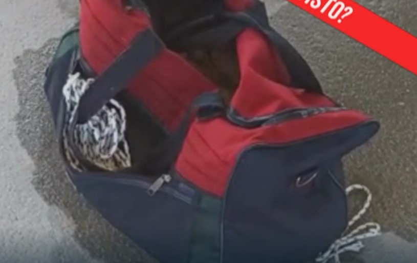 Vasto, il caso di Jois Pedone torna su "Chi l'ha visto": spuntano fuori una sacerdotessa, un falò e il mistero della sabbia - Gallery 3 borsa
