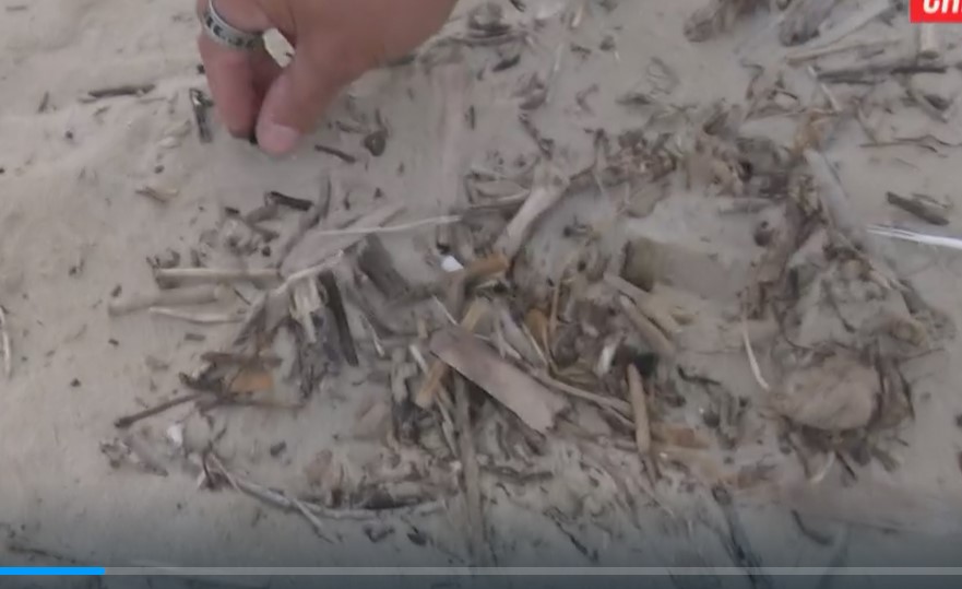 Vasto, il caso di Jois Pedone torna su "Chi l'ha visto": spuntano fuori una sacerdotessa, un falò e il mistero della sabbia - Gallery 2 falooo
