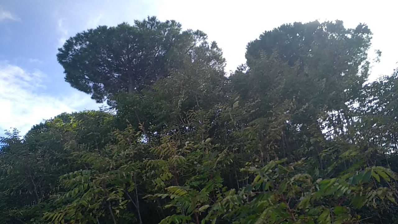 Rovi, un lavandino e scarti dell'edilizia in via San Nicola a Vasto - GALLERY 5 sannicolarif2