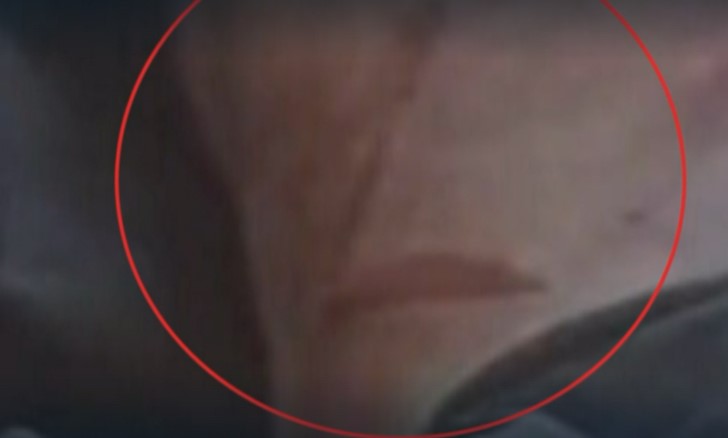 Jois Pedone torna su "Chi l'ha visto?", tra l'ipotesi di un patto di sangue e l'appello a collaborare - Gallery 3 zz
