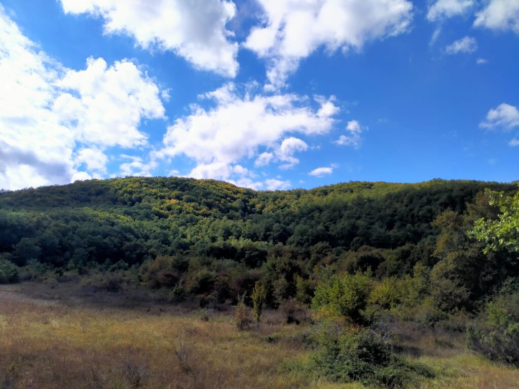 Tornareccio, progetto Erasmus sul rapporto tra giovani e aree rurali - Gallery 3 Foto 1 Monte Pallano