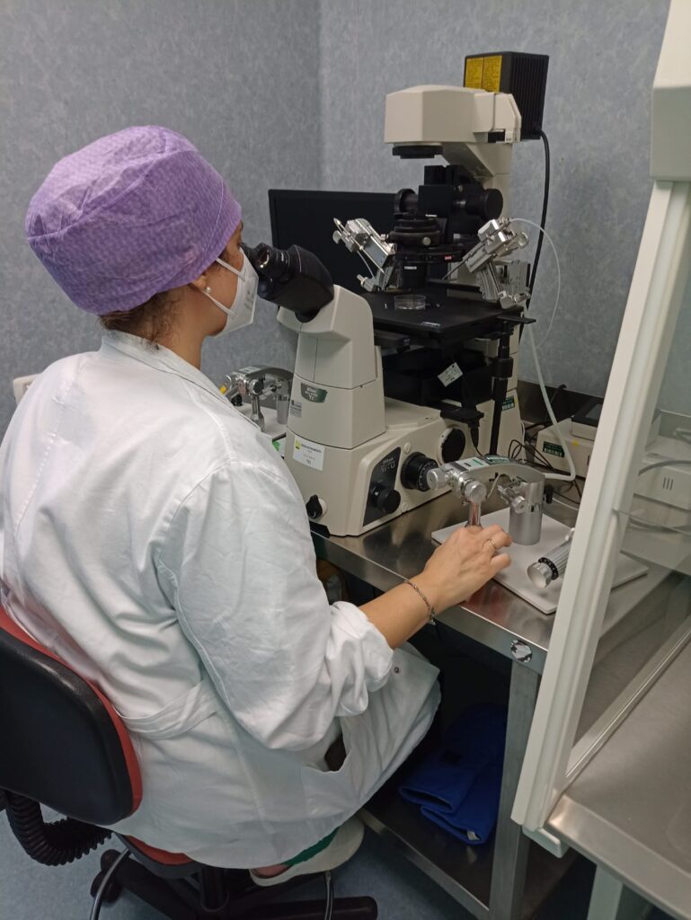 A Ortona l'eccellenza regionale per la procreazione medicalmente assistita - Gallery 3 Ortona 4