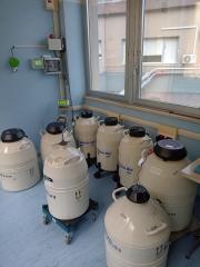 A Ortona l'eccellenza regionale per la procreazione medicalmente assistita - Gallery 4 ortona1
