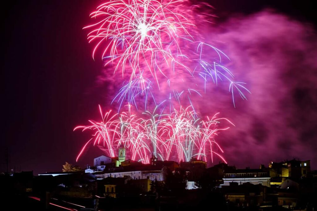 Capodanno, come usare i botti in sicurezza proteggendo persone e animali - VIDEO 9 WhatsApp Image 2022 12 02 at 13.43.20