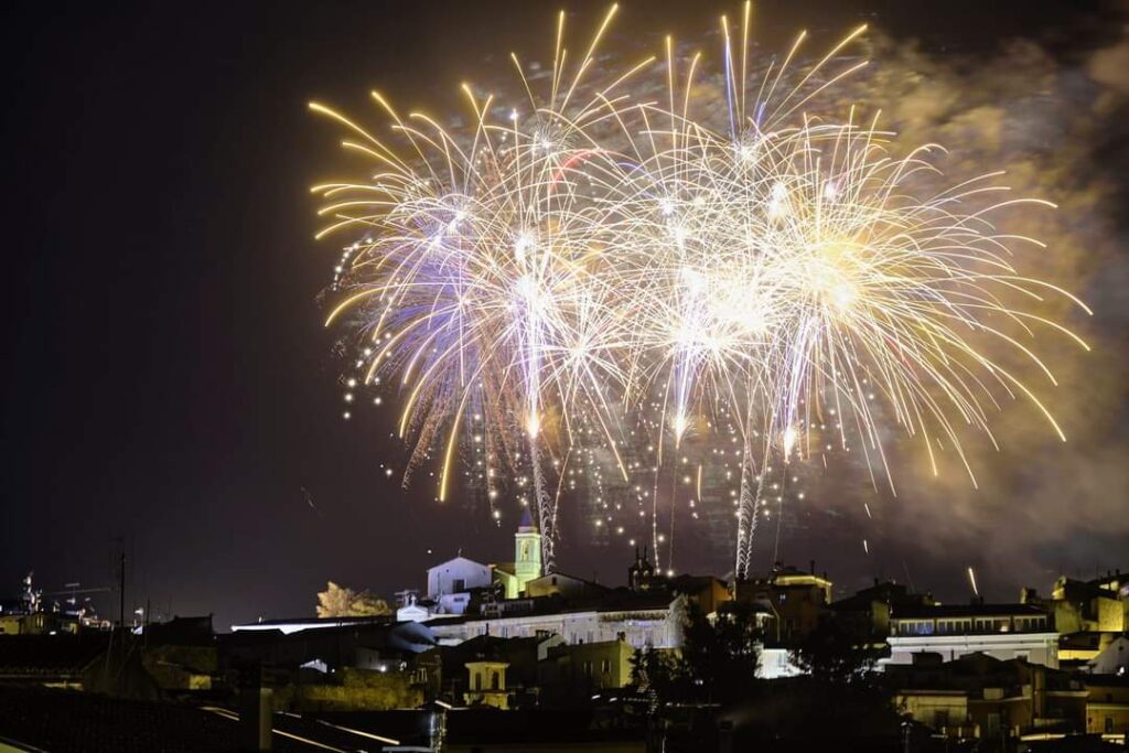 Capodanno, come usare i botti in sicurezza proteggendo persone e animali - VIDEO 8 WhatsApp Image 2022 12 02 at 13.43.202