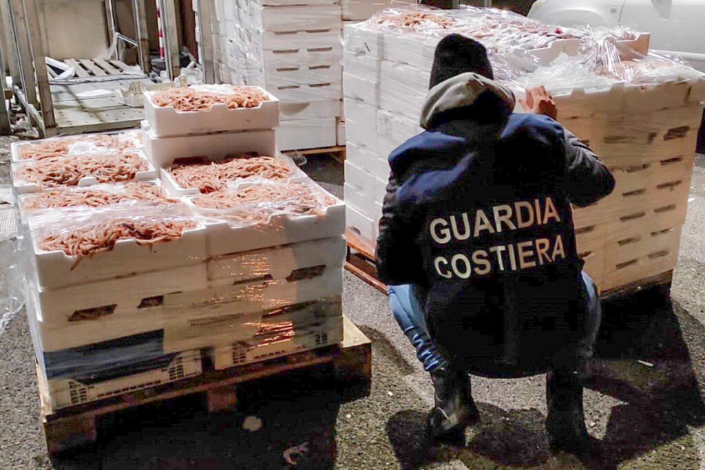 Operazione "Senza Traccia" a Pescara: sequestrati circa 760 Kg di prodotti ittici per un totale di 74mila euro di sanzioni comminate 2 capitaneria 1