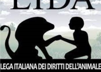 Il logo di Lida