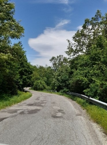 Messa in sicurezza della strada intercomunale "Ex Consorzio Bonifica" - Gallery 3 provincia3