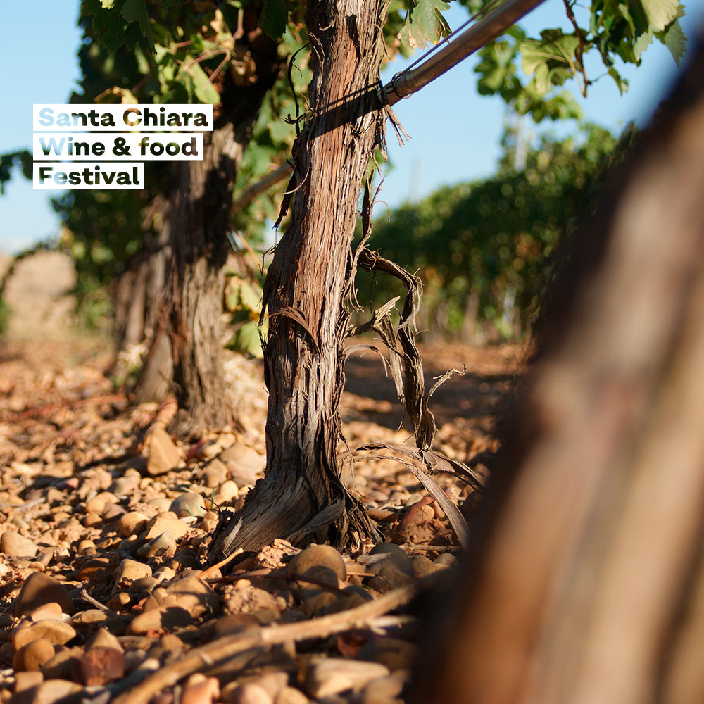 Tutto pronto per domani col Santa Chiara Food & Wine Festival - Gallery 2 santa chiara2