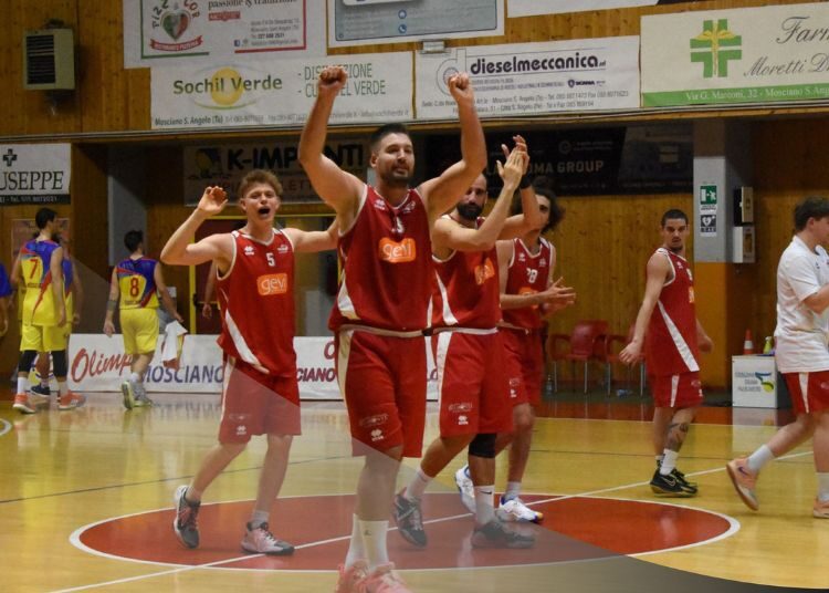 Vasto Basket