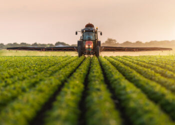 terreno agricolo