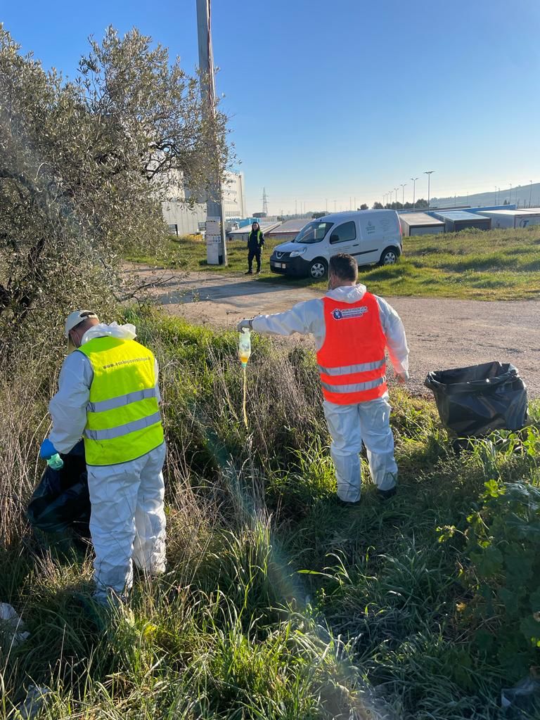 San Salvo, lavori di pulizia in viale Libero Grassi e viale Germania - GALLERY 4 2023 pulizia viale germania 1