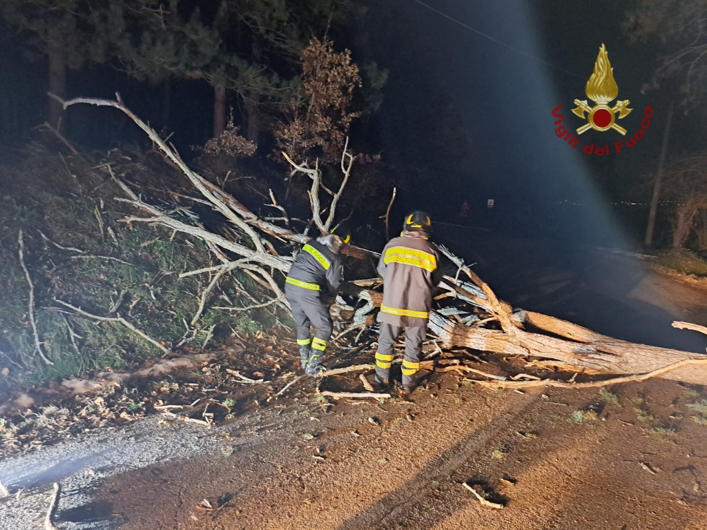 Notte da incubo in Molise: incendio, incidente e alberi per strada - GALLERY 2 Photo 1675581375299 resized