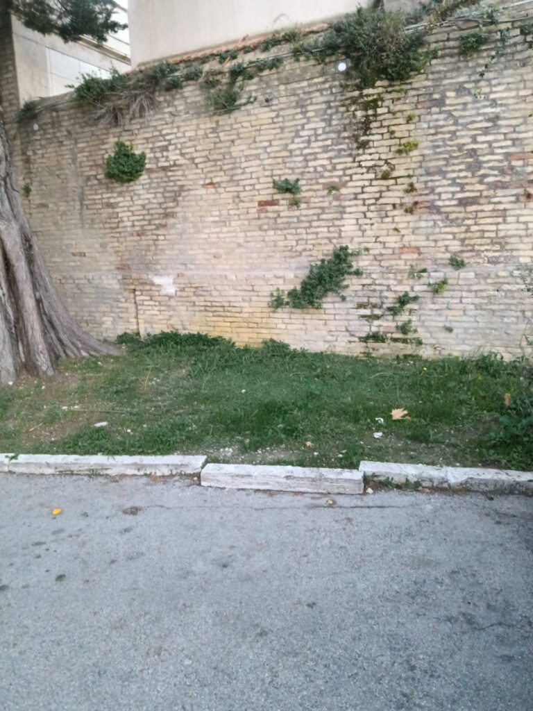 Erba da tagliare sul muro del cimitero di Vasto 3 cimitero2