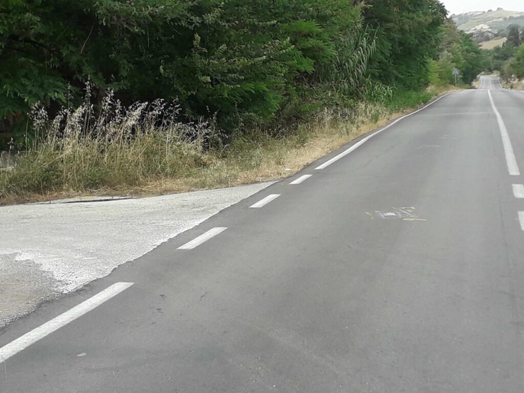 Rinviato a giudizio il 21enne accusato di aver provocato l'incidente in cui ha perso la vita l'infermiere Scampamorte - Gallery 4 luogo sinistro 2