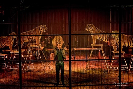 Il circo a Lanciano - Gallery 4 circus5