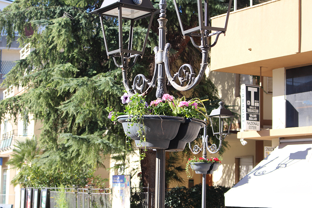 Nuovi fiori in via Roma e corso Umberto I a San Salvo 3 fioriere4