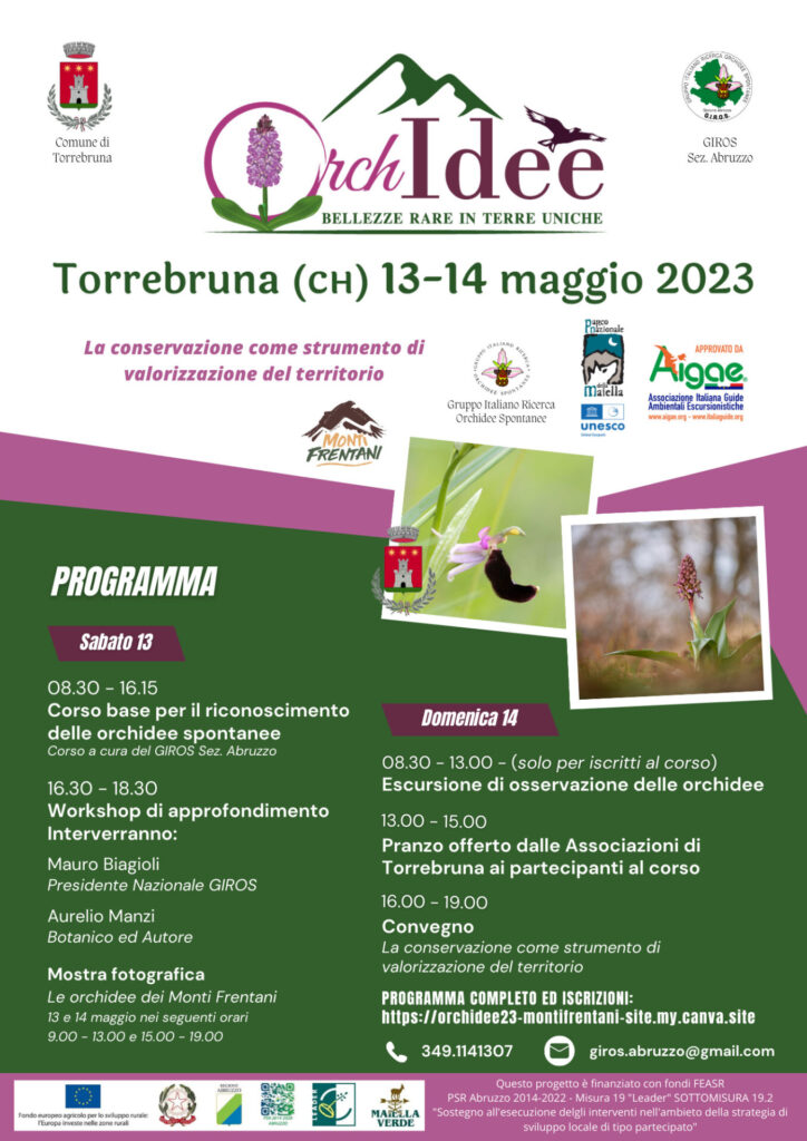 Corso divulgativo sulle orchidee spontanee 2 17 55 02 Volantino torrebruna