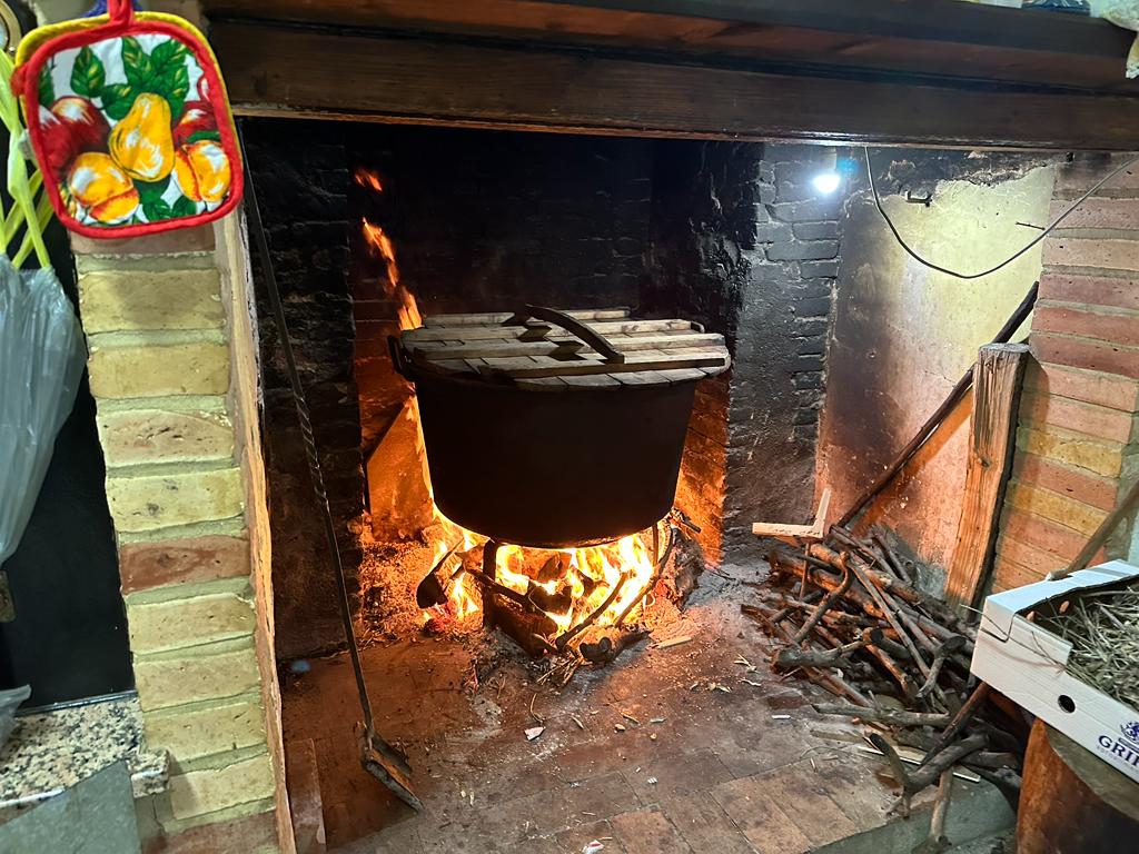 A Pollutri si ripete la sfilata dei trattori ed il pranzo della "domenica delle some di San Nicola" - Gallery 19 Immagine WhatsApp 2023 04 23 ore 21.33.30 4