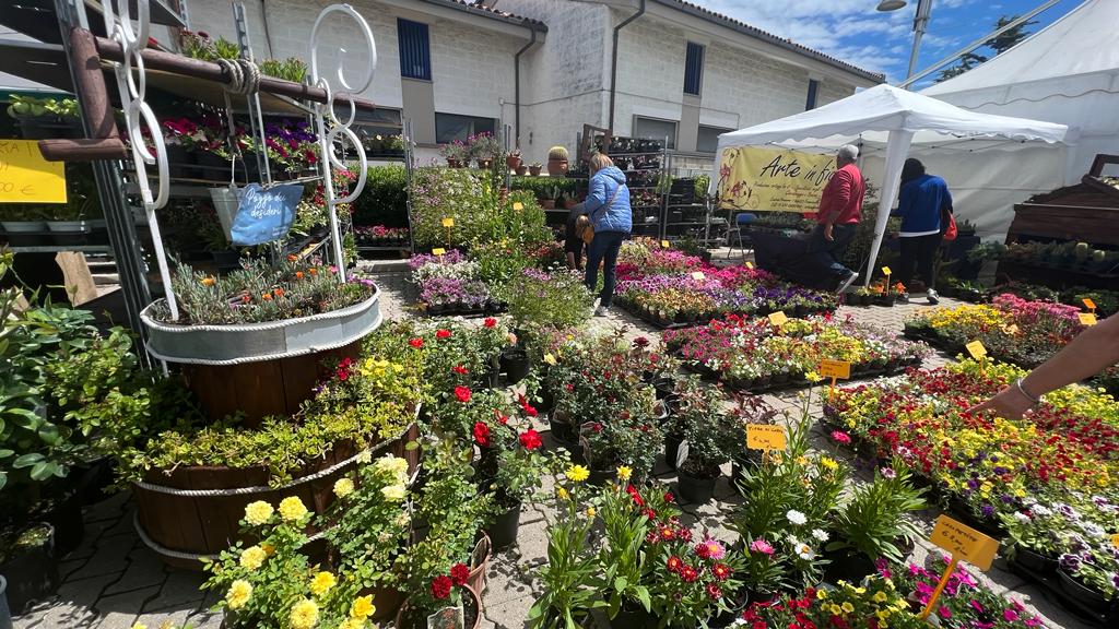 Bilancio più che positivo per la Mostra del Fiore Florviva 2023 - Gallery 2 fiore1