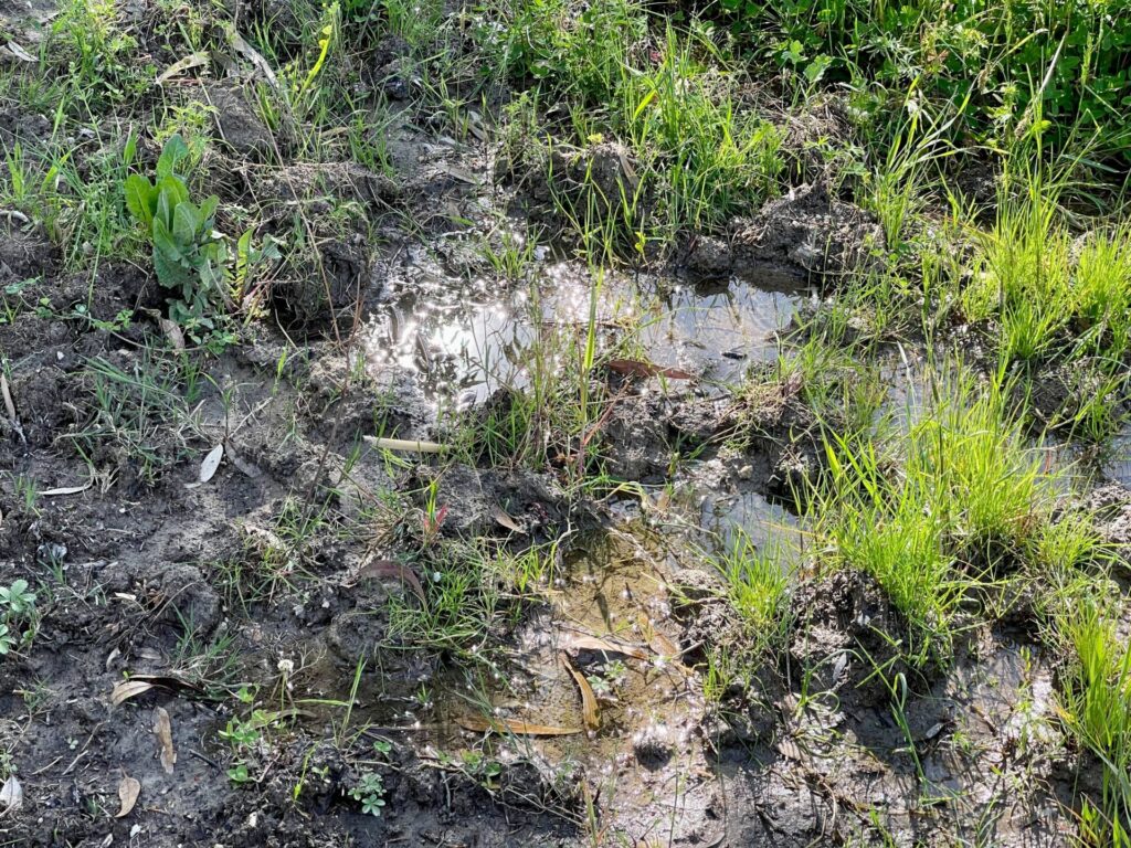 «L'acqua è un bene pubblico da tutelare?» - VIDEO e Gallery 5 sasi4