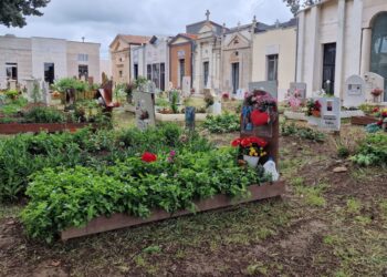 2023 cimitero pulito apertura