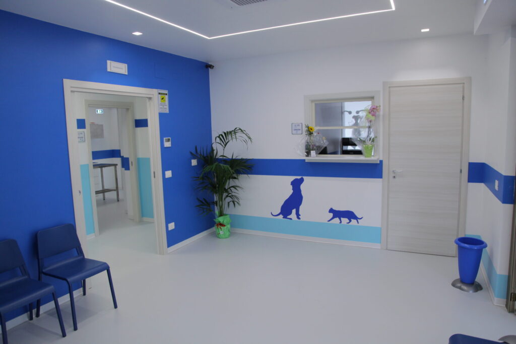 Clinica Veterinaria dell’Adriatico cambia location: in via Martiri della Libertà la nuova sede - Gallery 3 IMG 3055