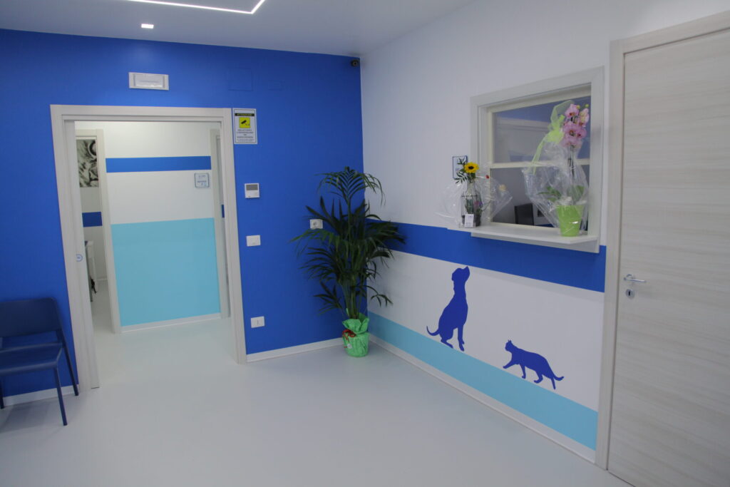 Clinica Veterinaria dell’Adriatico cambia location: in via Martiri della Libertà la nuova sede - Gallery 4 IMG 3056