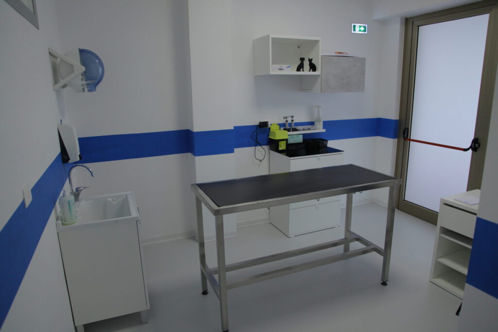Clinica Veterinaria dell’Adriatico cambia location: in via Martiri della Libertà la nuova sede - Gallery 5 IMG 3058