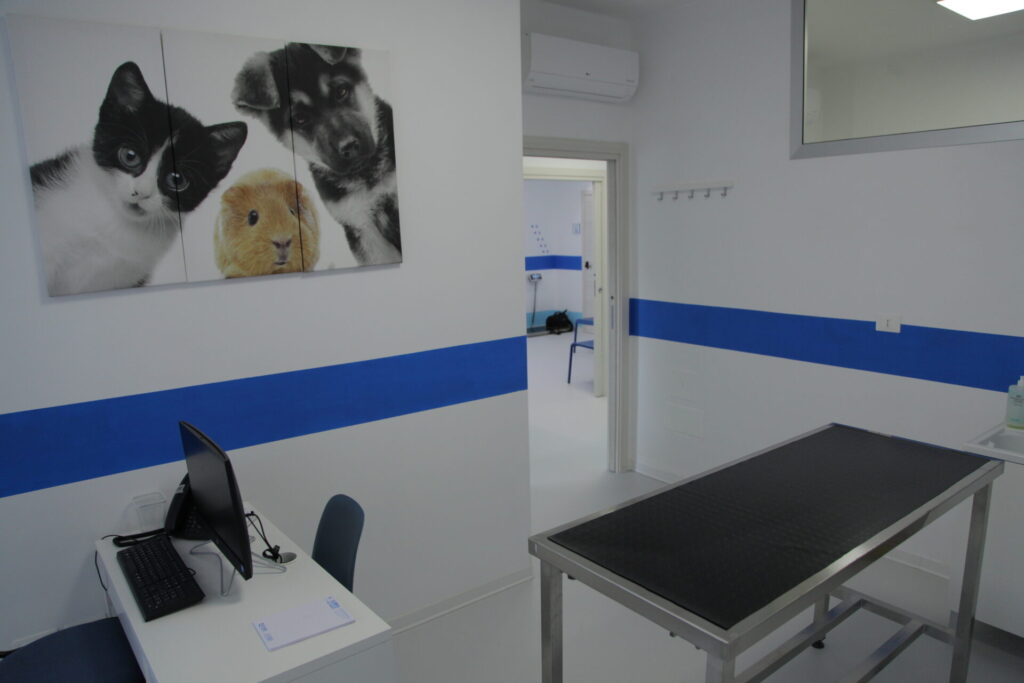 Clinica Veterinaria dell’Adriatico cambia location: in via Martiri della Libertà la nuova sede - Gallery 7 IMG 3060