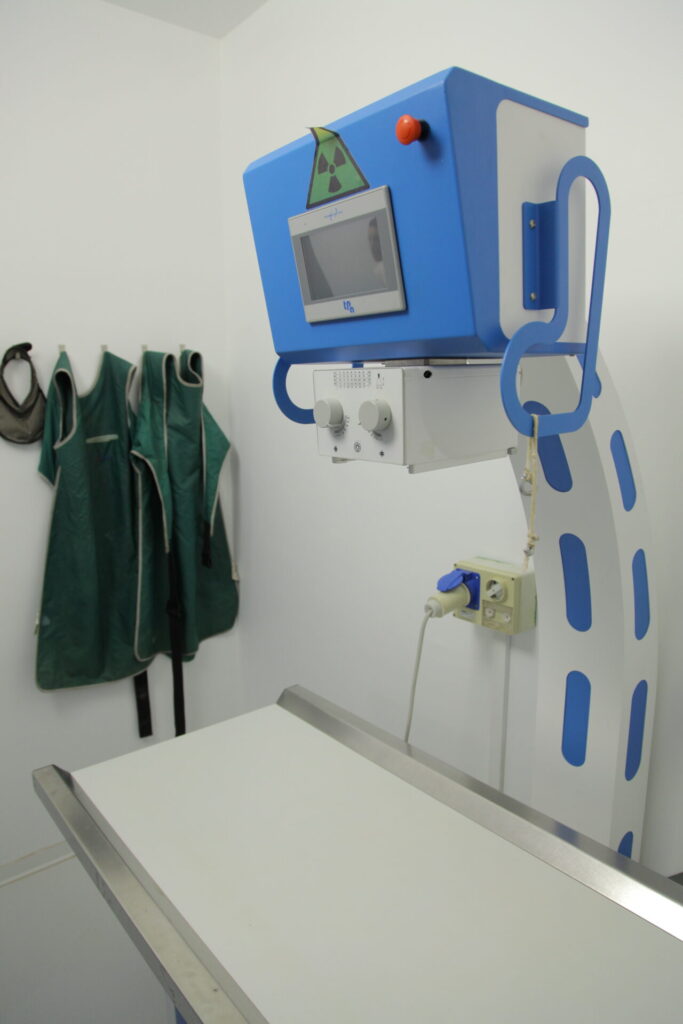 Clinica Veterinaria dell’Adriatico cambia location: in via Martiri della Libertà la nuova sede - Gallery 11 IMG 3064