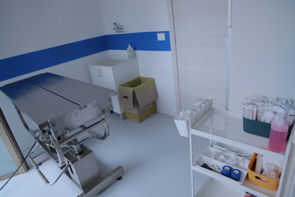Clinica Veterinaria dell’Adriatico cambia location: in via Martiri della Libertà la nuova sede - Gallery 13 IMG 3066