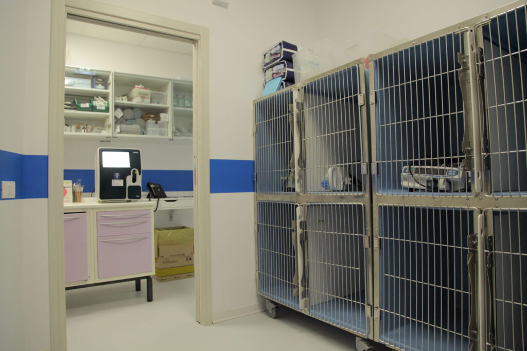 Clinica Veterinaria dell’Adriatico cambia location: in via Martiri della Libertà la nuova sede - Gallery 15 IMG 3070