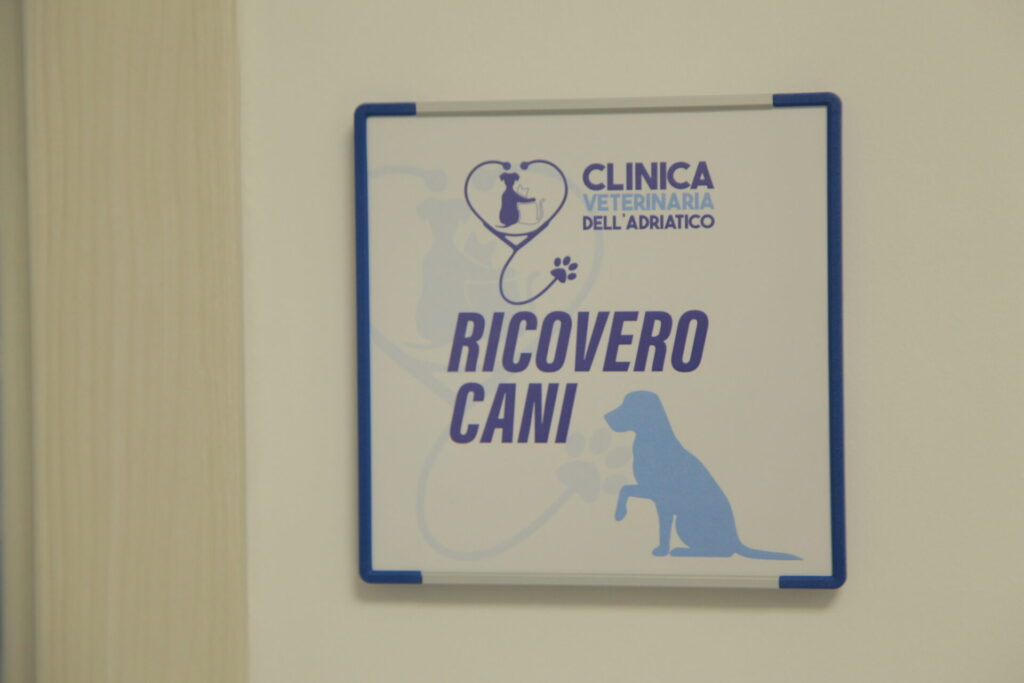 Clinica Veterinaria dell’Adriatico cambia location: in via Martiri della Libertà la nuova sede - Gallery 16 IMG 3071
