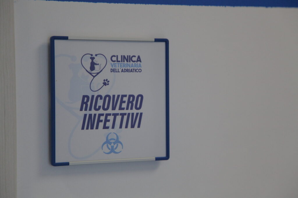 Clinica Veterinaria dell’Adriatico cambia location: in via Martiri della Libertà la nuova sede - Gallery 19 IMG 3075