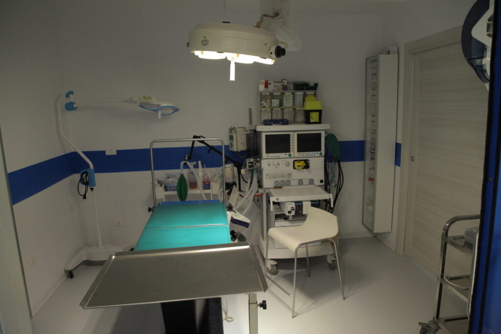 Clinica Veterinaria dell’Adriatico cambia location: in via Martiri della Libertà la nuova sede - Gallery 22 IMG 3078