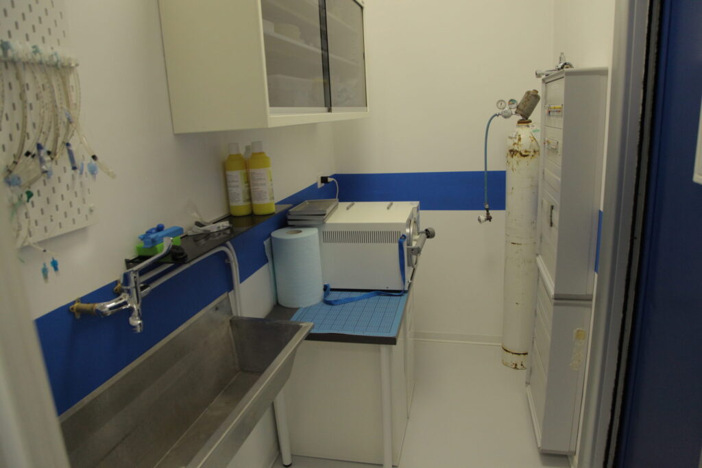 Clinica Veterinaria dell’Adriatico cambia location: in via Martiri della Libertà la nuova sede - Gallery 25 IMG 3081