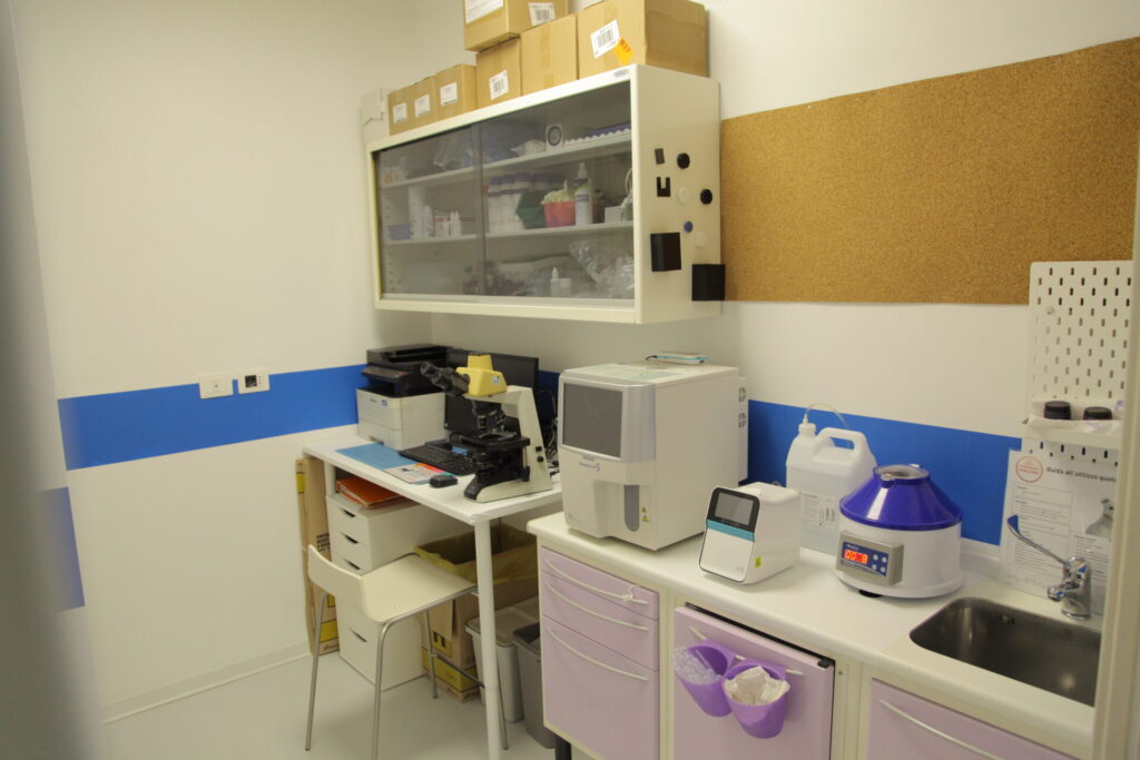 Clinica Veterinaria dell’Adriatico cambia location: in via Martiri della Libertà la nuova sede - Gallery 33 IMG 3089