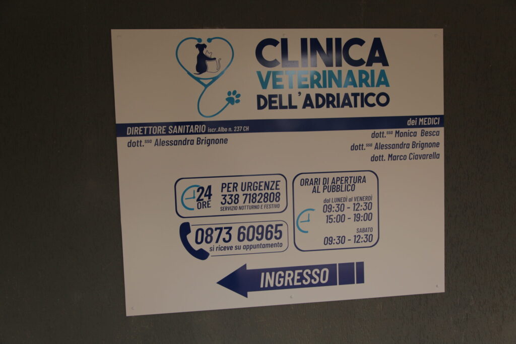 Clinica Veterinaria dell’Adriatico cambia location: in via Martiri della Libertà la nuova sede - Gallery 36 IMG 3092