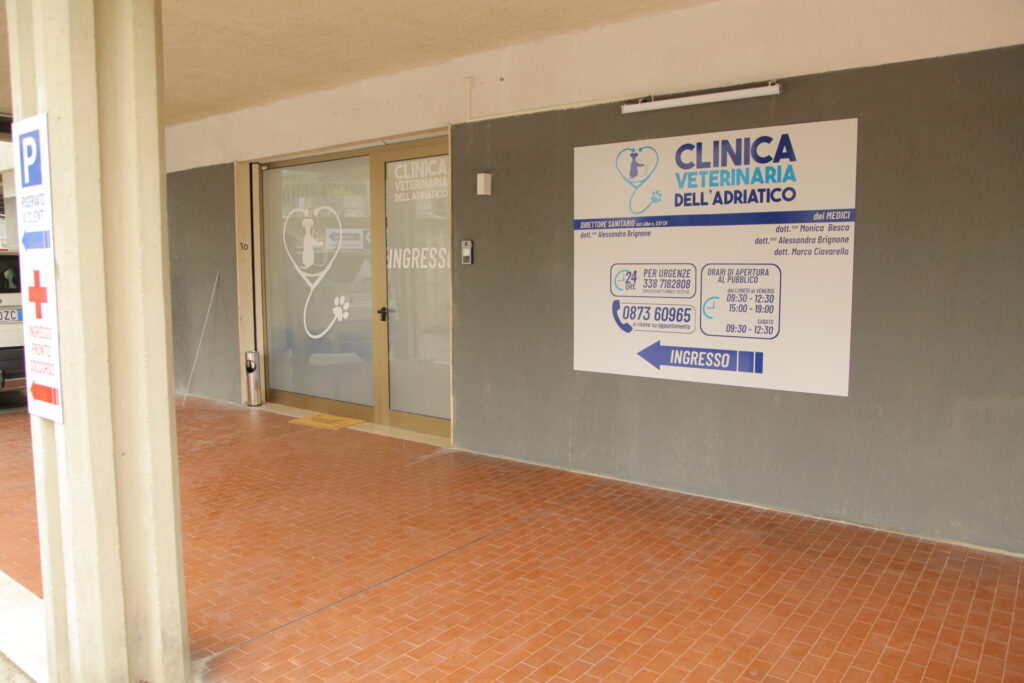 Clinica Veterinaria dell’Adriatico cambia location: in via Martiri della Libertà la nuova sede - Gallery 37 IMG 3093