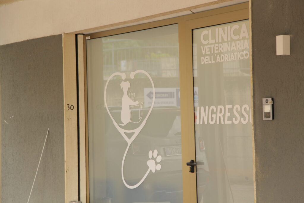 Clinica Veterinaria dell’Adriatico cambia location: in via Martiri della Libertà la nuova sede - Gallery 38 IMG 3094