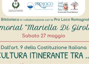 Progetto senza titolo 2023 05 24T154802.736